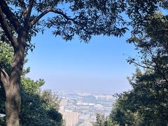 -惠山国家森林公园