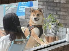 -BE YOLO必有乐&小红帽三明治