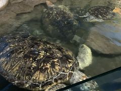 -厦门海底世界