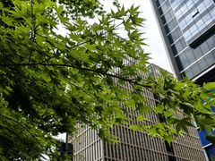 -钱江新城