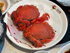 -阳光岛·海鲜盛宴(银泰中心in99店)