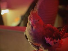 -鸡尾酒实验室酒吧(隆礼路店)