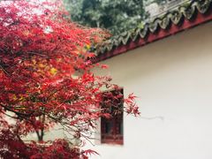 -上海醉白池公园