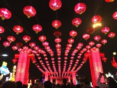 -万绿园