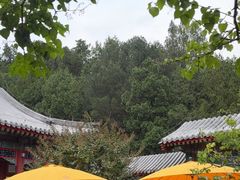 -宫事颐庭·老佛爷贵寿下午茶(颐和园店)