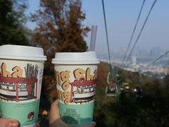 -茶颜悦色(岳麓山顶店)