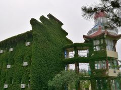 -首钢疗养院(滨海大道)