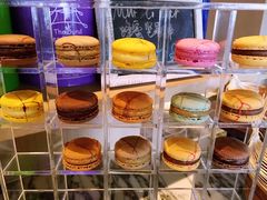 -上海外滩英迪格酒店