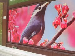 -常州花鸟园酒店(西太湖品牌优选店)