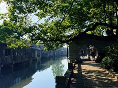 -乌镇东栅景区