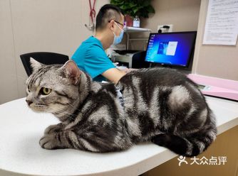 我打预防针的日子到了。 听说这一次要到AMC的新店面
