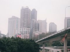 -菜园坝水果市场