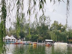 -莲湖公园
