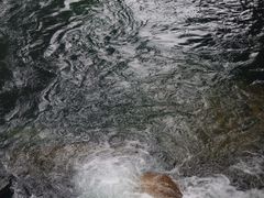 -石台牯牛降景区
