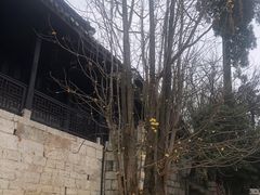 -阳明祠