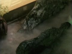 -老伙记海鲜码头(北滘店)