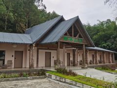-南丹山森林王国