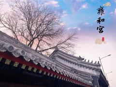 -雍和宫