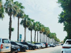 -南沙十九涌渔人码头-南门