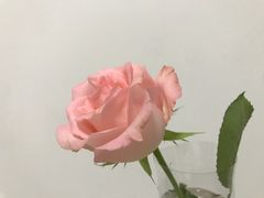 -汀小府·福建客家菜(鼓山沃尔玛店)
