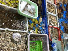 -船奇蒸汽海鲜·闽菜(八市海鲜总店)