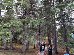 -塞罕坝国家级自然保护区