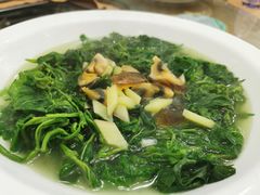 上汤西洋菜-红日饭店(裕隆三路店)