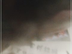 -有局·成都市井烧烤·精酿啤酒(双楠店)