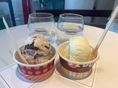 夏威夷果仁冰淇淋-哈根达斯(天河城店)