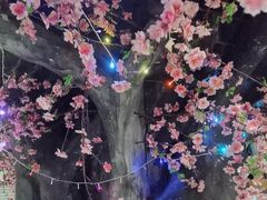 -黄家码头老火锅(解放碑旗舰店)