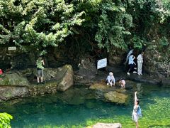 -鼎湖山风景区