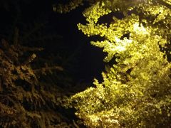 -辽宁大学(崇山校区)