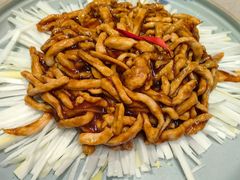 -鸢飞潍坊菜馆(鸢飞大酒店)