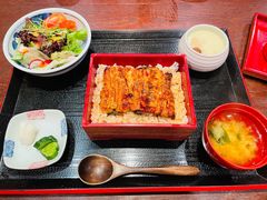 鳗鱼饭定食-翔峰炭火鳗鱼(悦泰街里公寓店)
