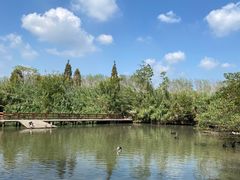 -溱湖国家湿地公园