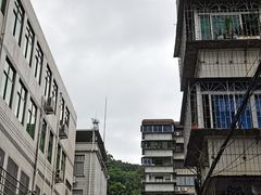 -长洲岛