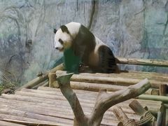 -深圳野生动物园