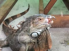 -武清南湖绿博园