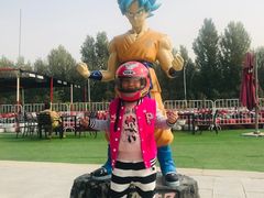 -北京炫动卡丁车俱乐部