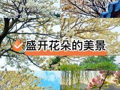 -南山植物园