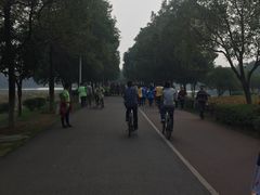 -艾溪湖湿地公园