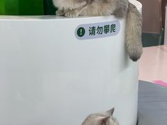 -PO PARK东方宝泰