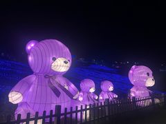 -大塘金香草谷