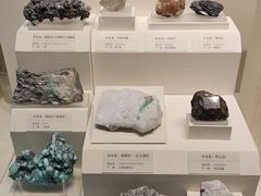 -天津自然博物馆