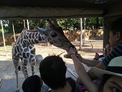 -清迈夜间动物园