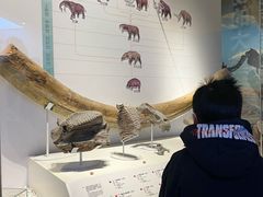 -国家自然博物馆