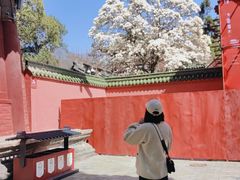 -报恩寺(平武县)