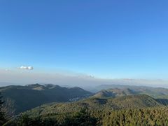 -武陵山森林公园