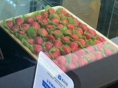 -茉酸奶(高科山姆店)