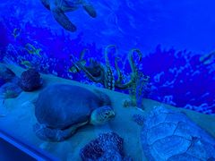 -广东中医药博物馆